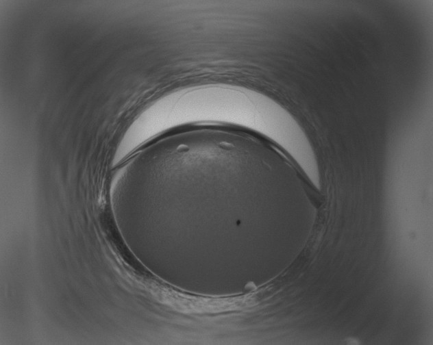 X0000085250031200703161304