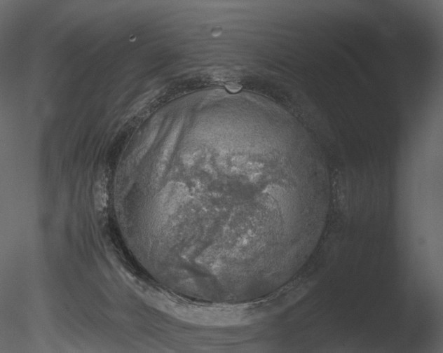 X0000085250032200703161304