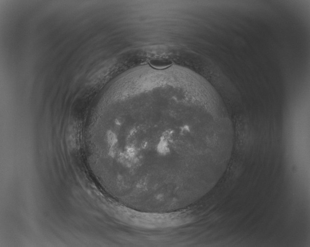 X0000085250034200703161304