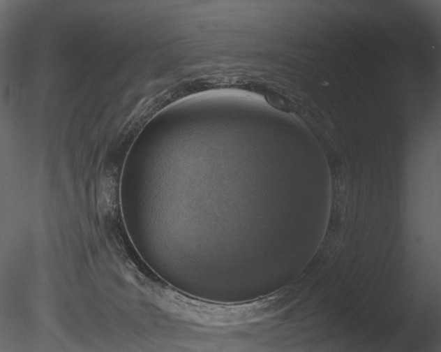 X0000085250035200703161304