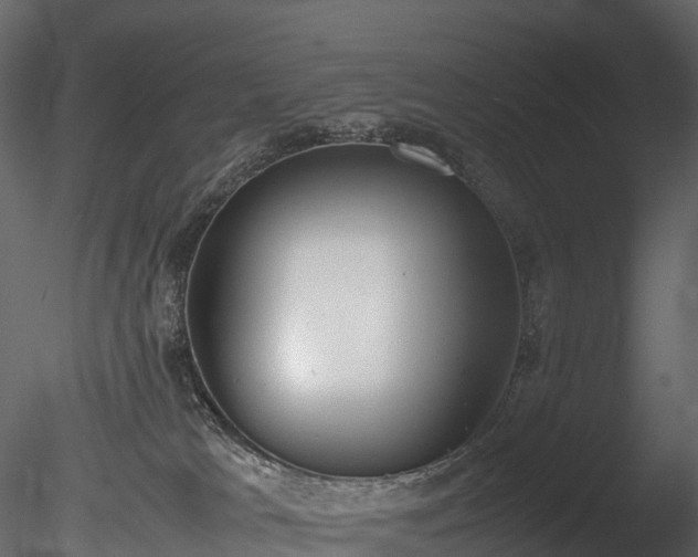 X0000085250037200703161304