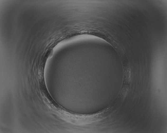 X0000085250039200703161304