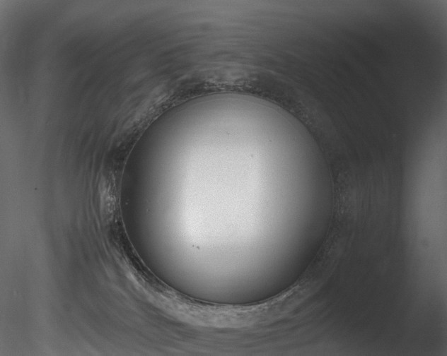 X0000085250040200703161304