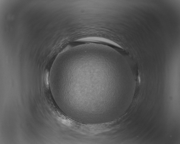 X0000085250041200703161304