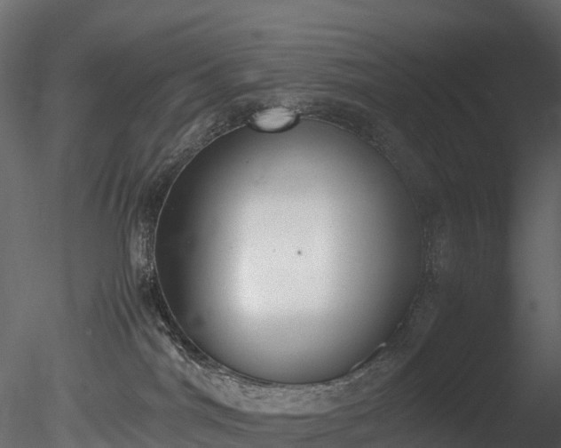 X0000085250044200703161304