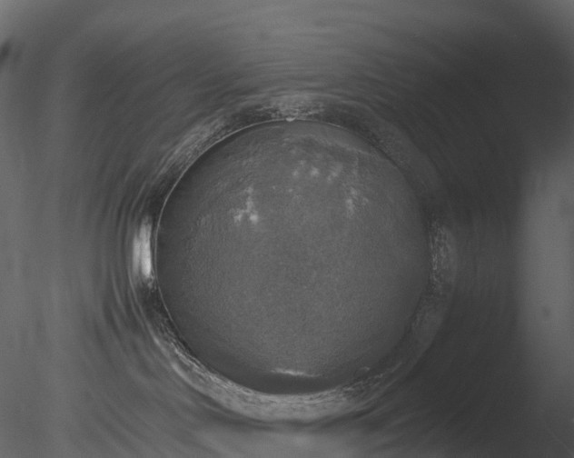 X0000085250046200703161304