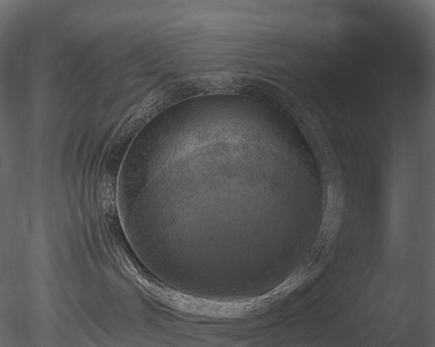 X0000085250048200703161304