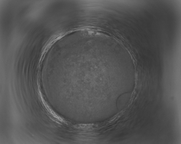 X0000085250049200703161303