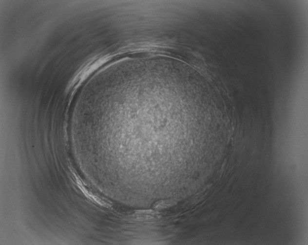 X0000085250050200703161303