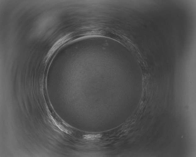 X0000085250051200703161303