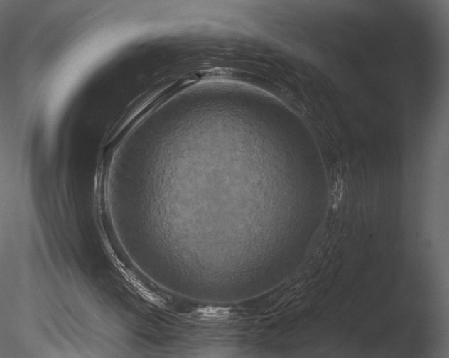 X0000085250052200703161303