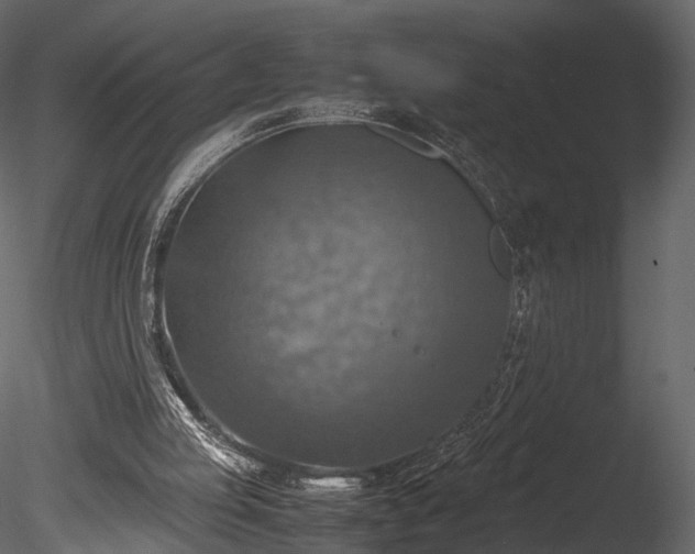 X0000085250053200703161303