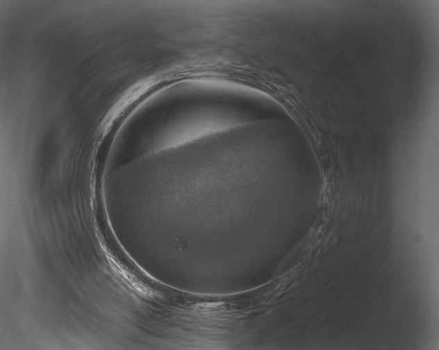 X0000085250054200703161303