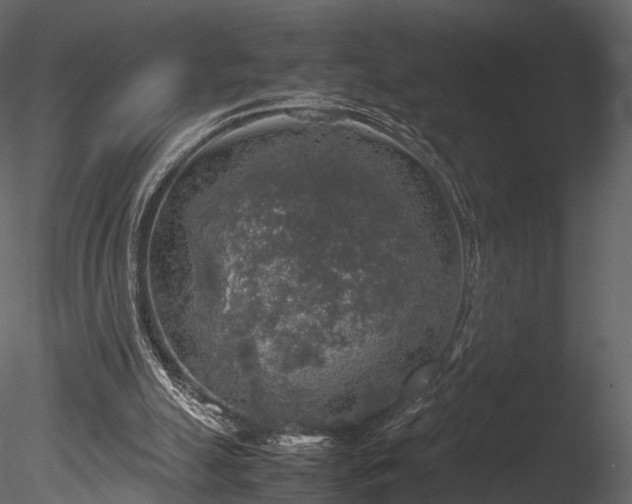 X0000085250055200703161303