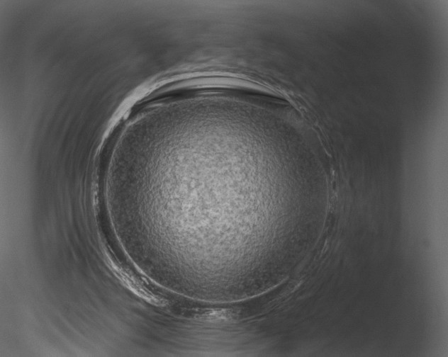 X0000085250056200703161303