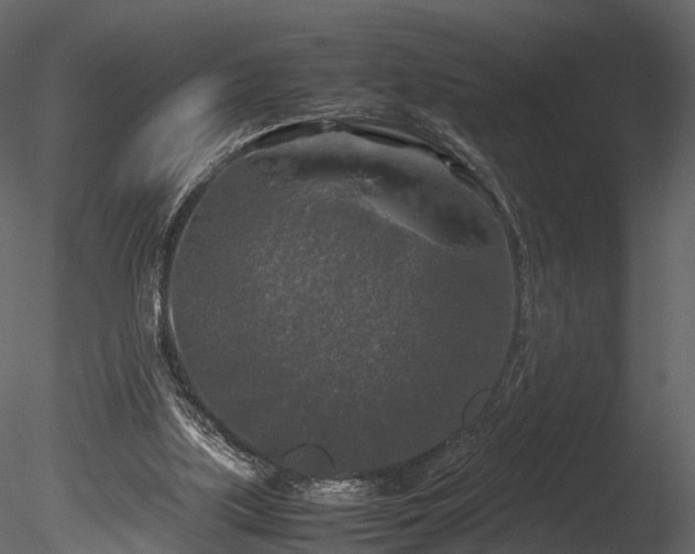 X0000085250059200703161303