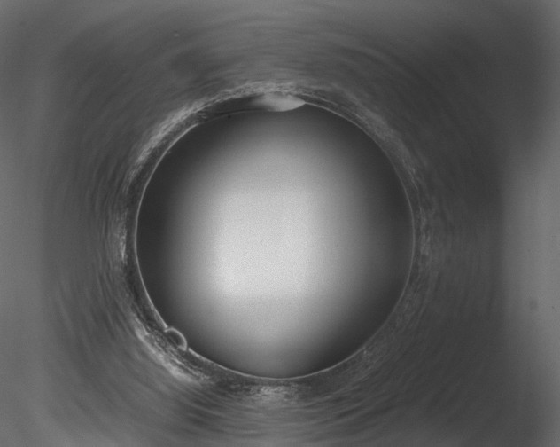 X0000085250060200703161303