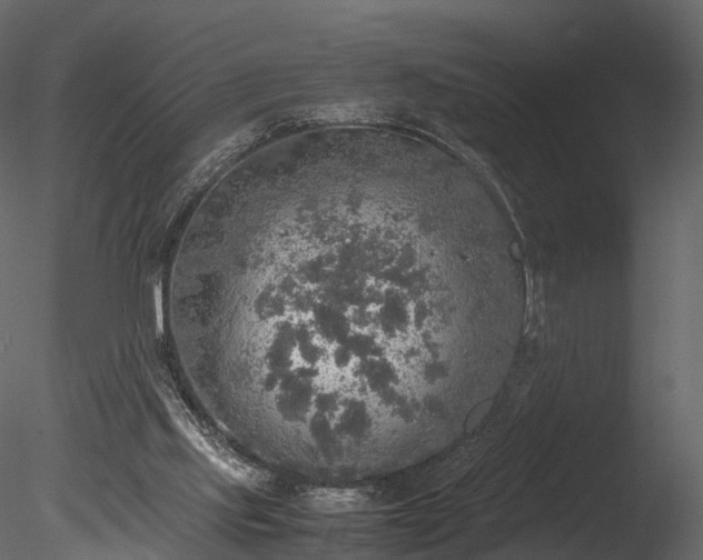 X0000085250061200703161303