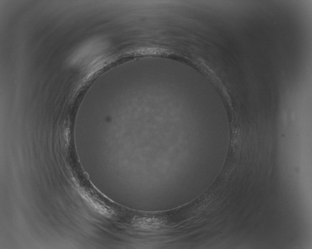 X0000085250063200703161303