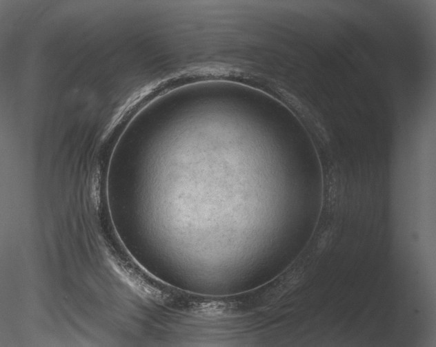 X0000085250064200703161303