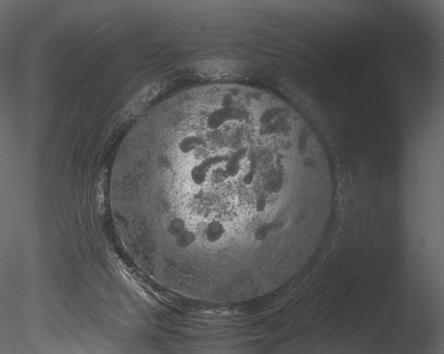 X0000085250065200703161303