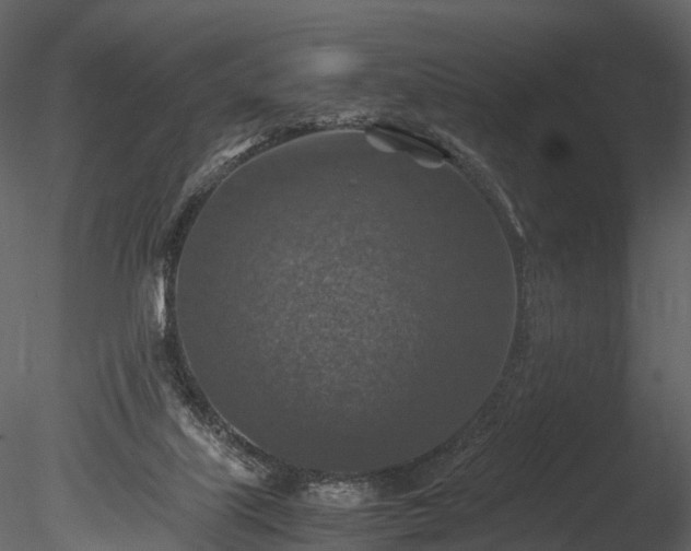 X0000085250067200703161303