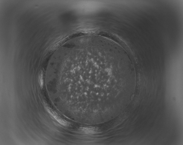 X0000085250069200703161303