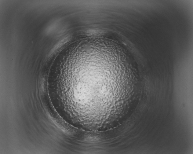 X0000085250071200703161303