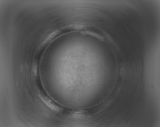 X0000085250072200703161303