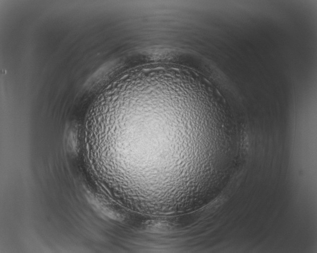 X0000085250074200703161303