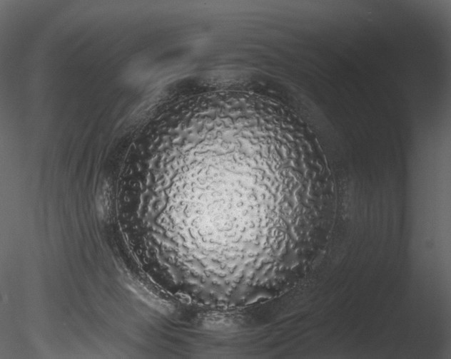 X0000085250077200703161303