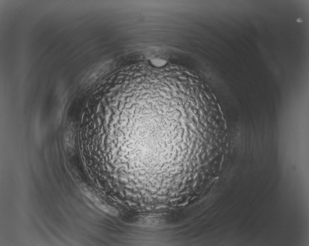 X0000085250078200703161303