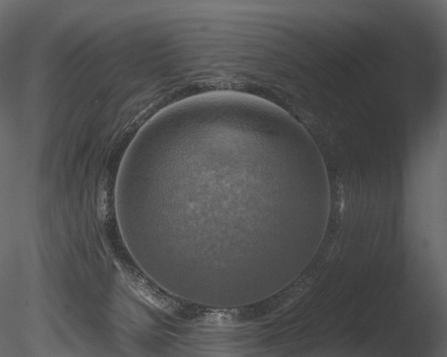 X0000085250080200703161303