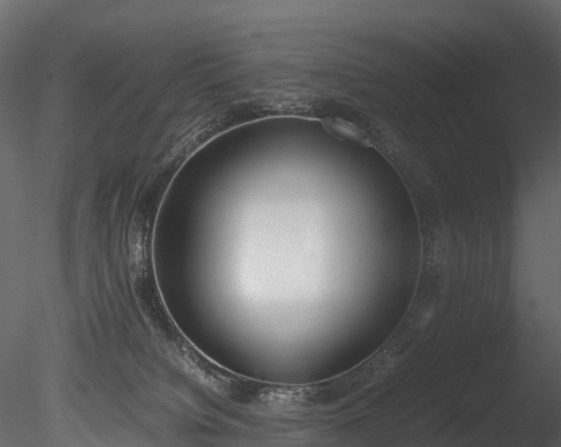 X0000085250084200703161303