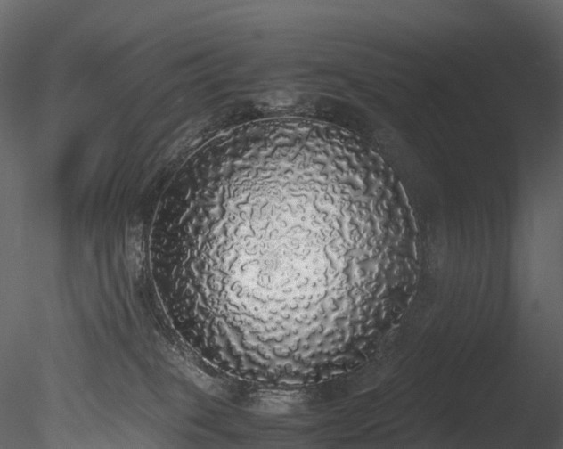 X0000085250085200703161303