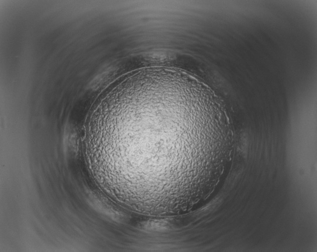 X0000085250086200703161304