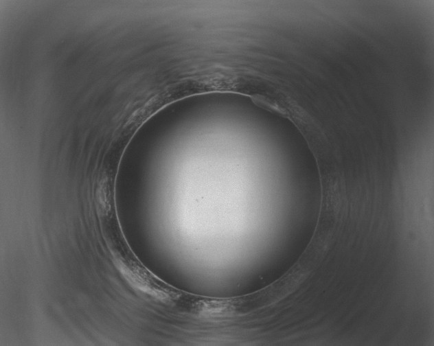 X0000085250088200703161304