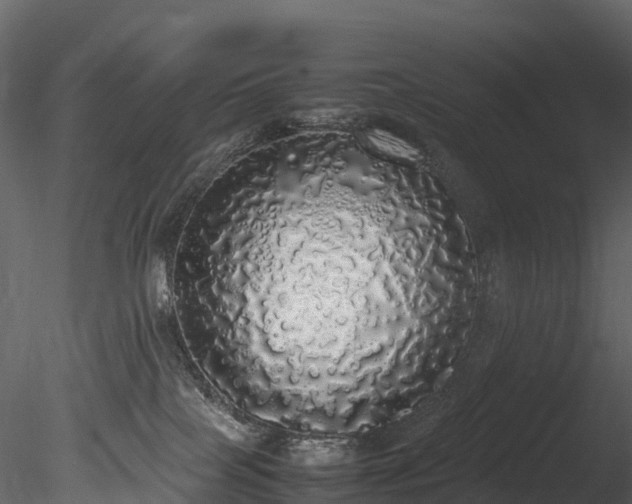 X0000085250089200703161304