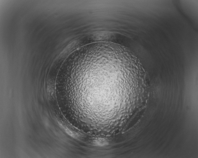 X0000085250091200703161304