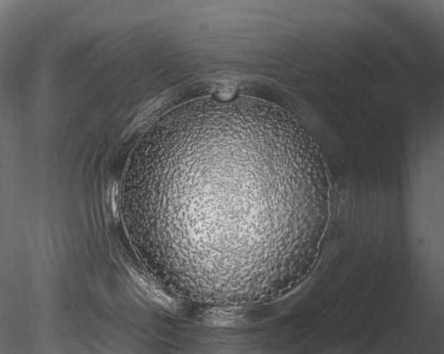 X0000085250094200703161304