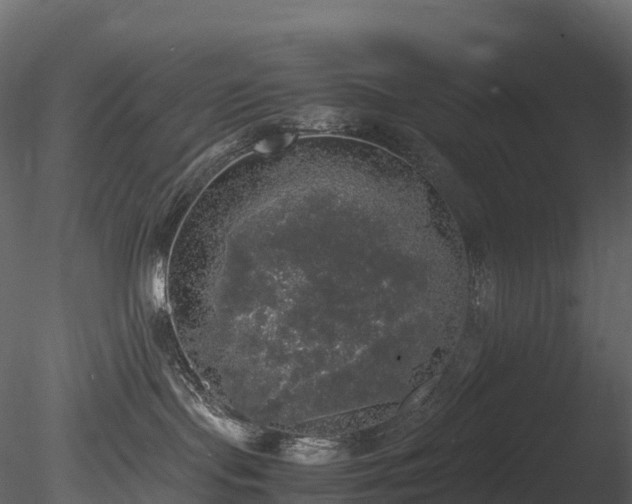 X0000085250095200703161304