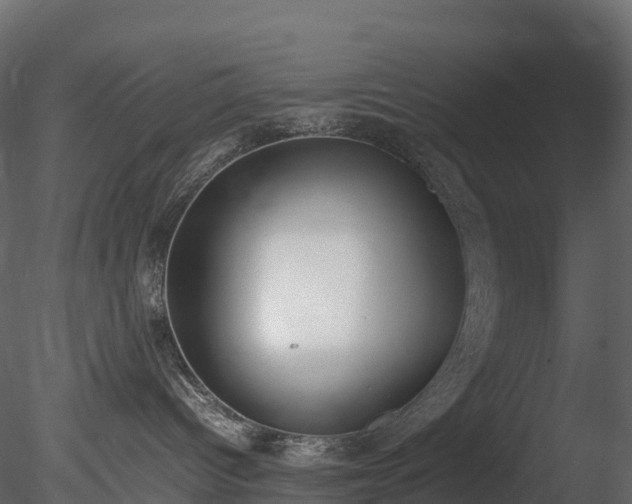 X0000085250096200703161304