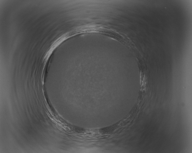 X0000085250099200703161303