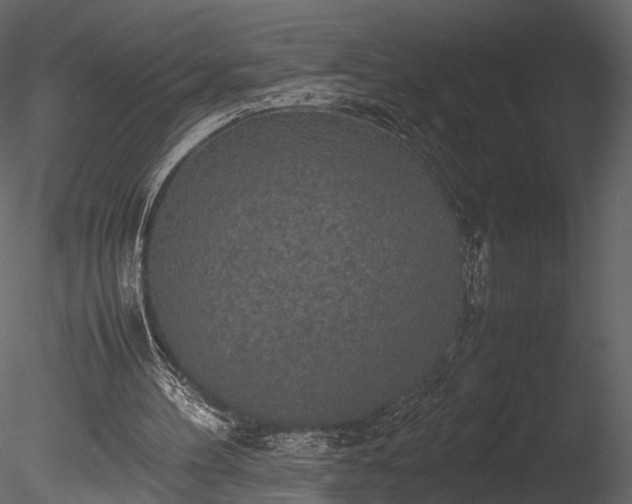 X0000085250100200703161303