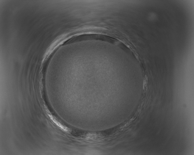 X0000085250101200703161303