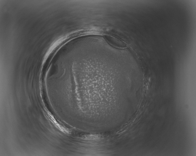 X0000085250102200703161303