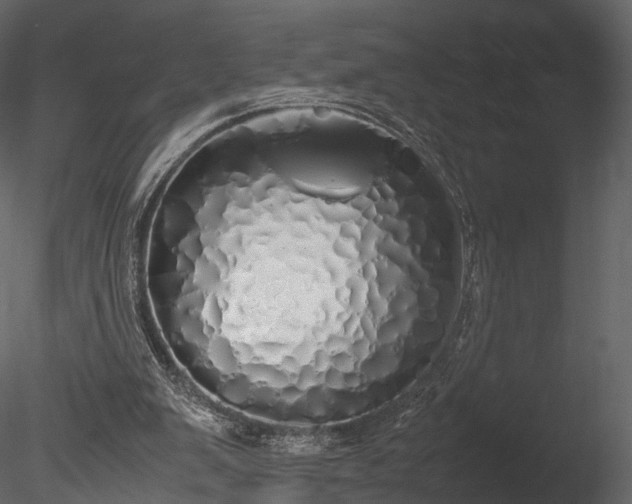 X0000085250103200703161303