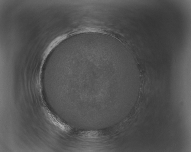 X0000085250104200703161303