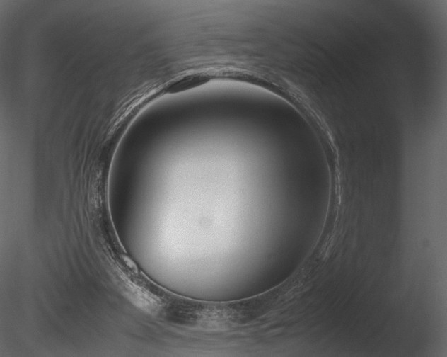 X0000085250105200703161303