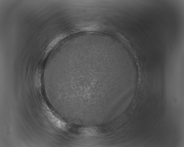 X0000085250106200703161303